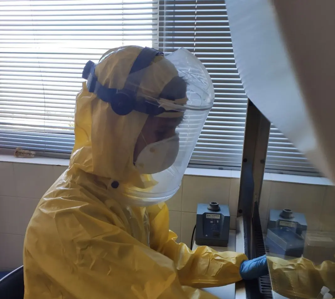 La ULPGC investiga la transmisión de la gripe aviar como amenaza zoonótica