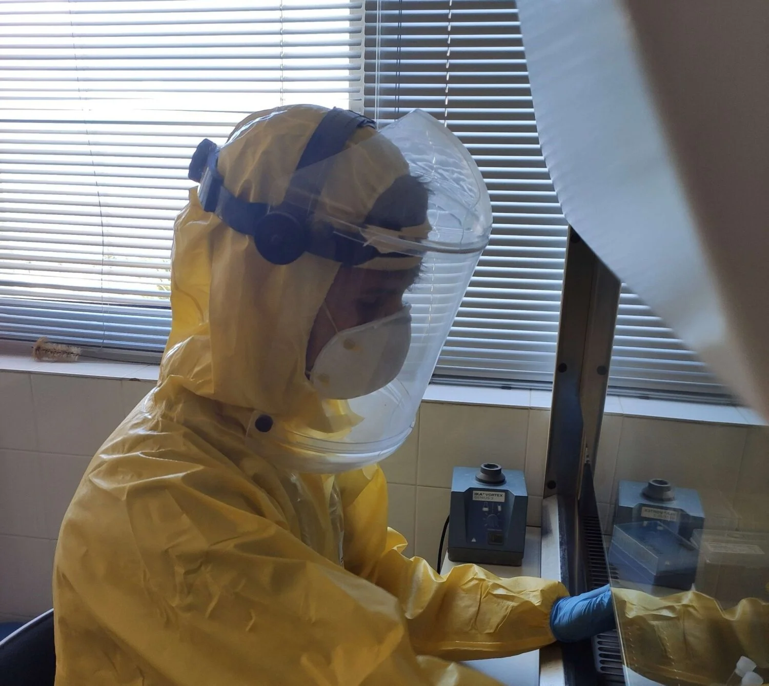 La ULPGC investiga la transmisión de la gripe aviar como amenaza zoonótica