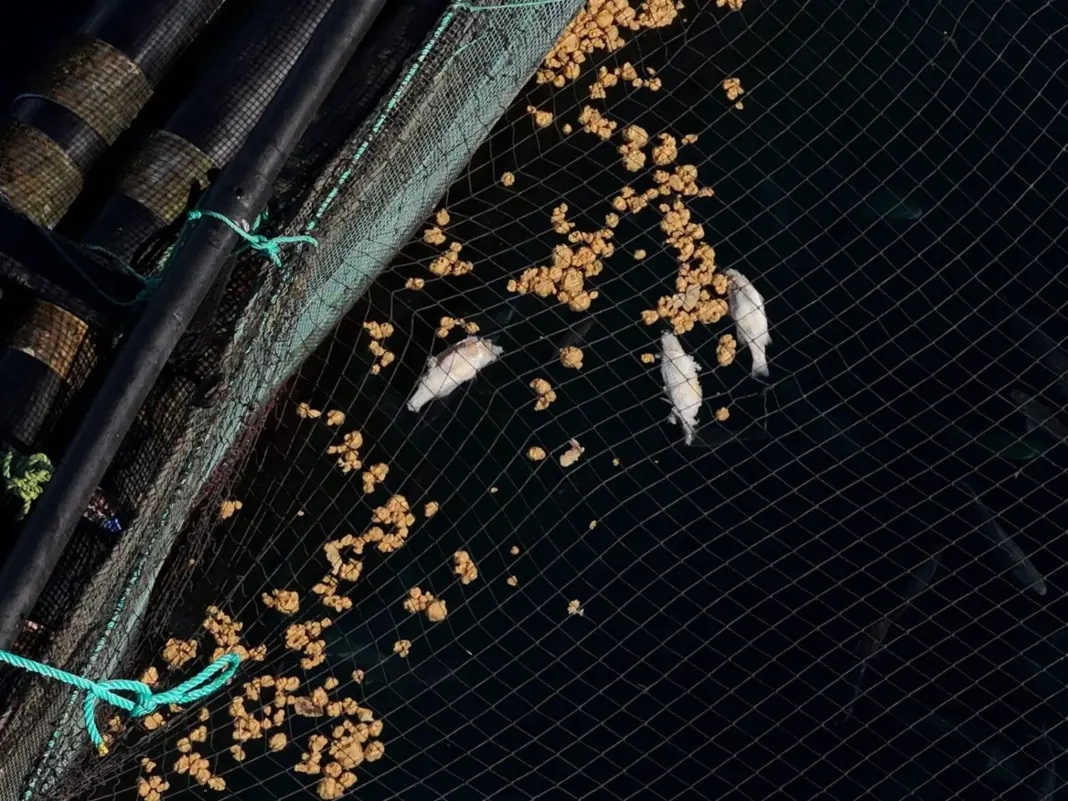 Imagen de la contaminación marina captada durante una inspección aérea de UNIDRON