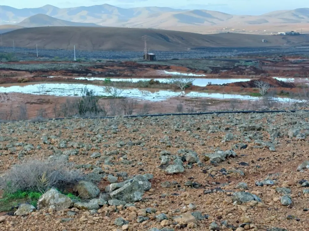 Paisaje agrícola de Fuerteventura