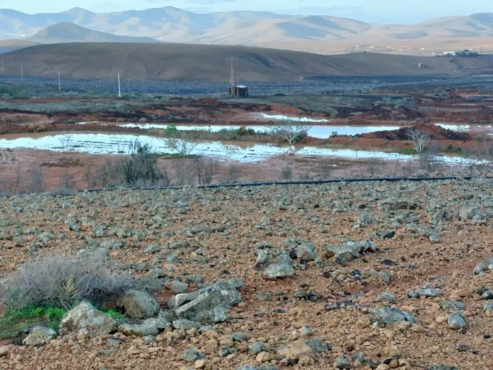 Paisaje agrícola de Fuerteventura
