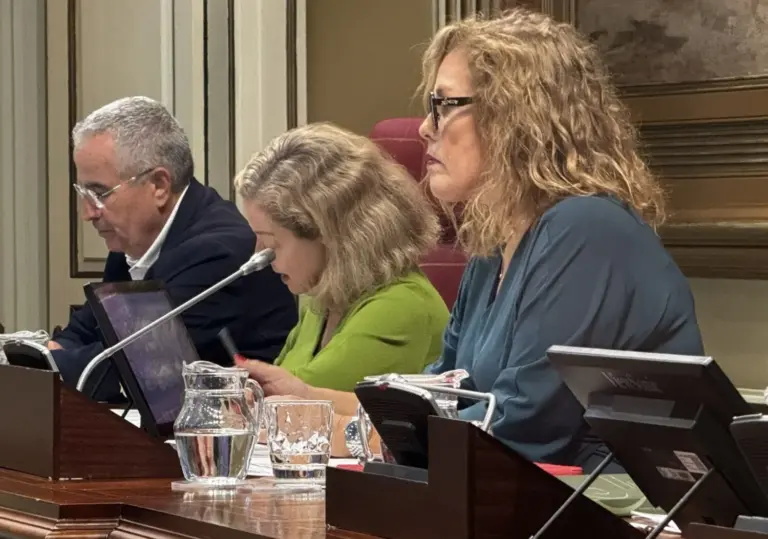 DIRECTO | Pleno del Parlamento de Canarias