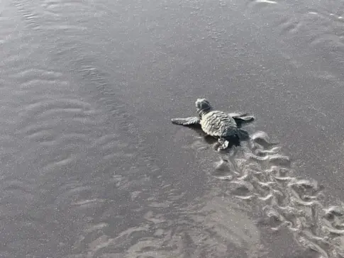 El Cabildo de Tenerife participa en el proyecto RedCentros en África