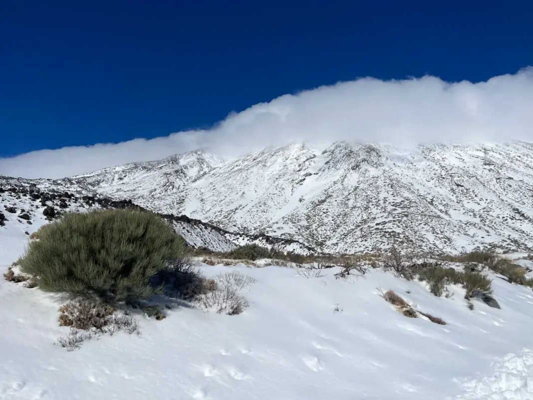 Primeras imágenes que capta un equipo de Televisión Canaria de la nevada en el Teide / RTVC