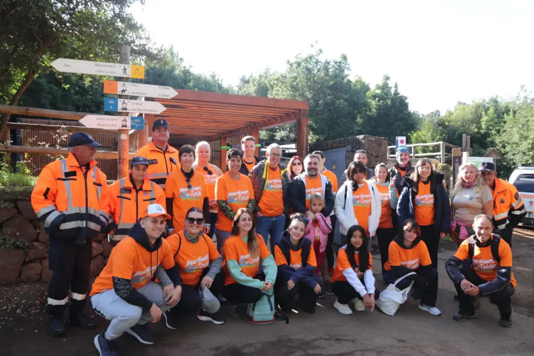 Volcano Teide se suma a la reforestación de Las Calderetas tras el incendio de 2023