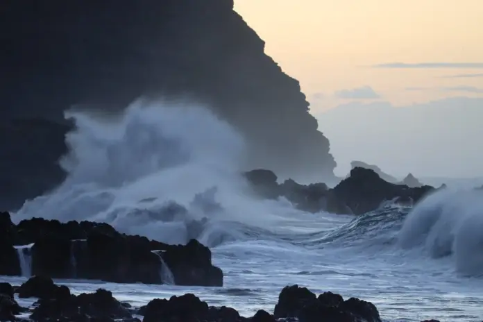 Buenavista del Norte