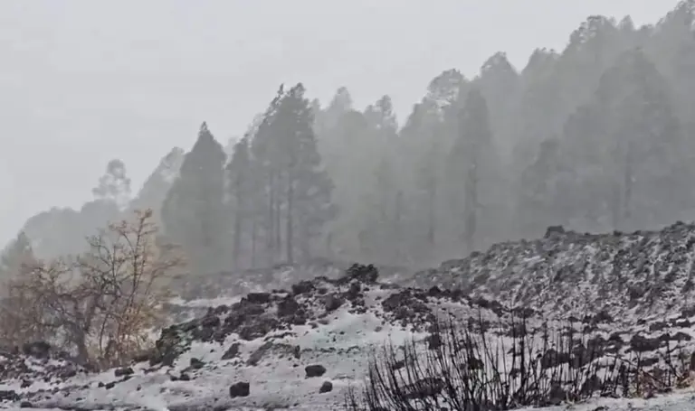 Galería de imágenes de la borrasca Emilia en Canarias