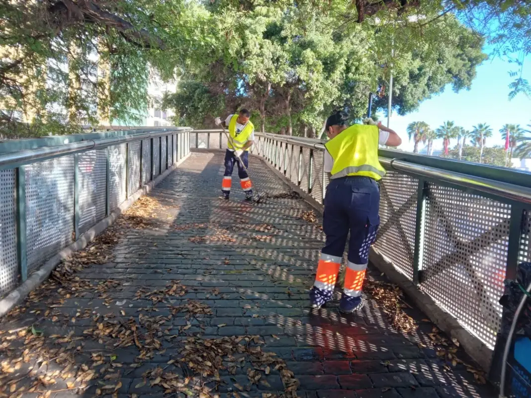 Personal de limpieza de Las Palmas de Gran Canaria actuando tras el paso de la borrasca Emilia / Ayuntamiento de Las Palmas de Gran Canaria