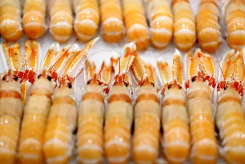 Los alimentos navideños suben un 10,3 % en menos de un mes, según la OCU