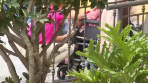 Un ejemplo de ello, ha sido la música de la Banda Municipal de Telde, durante este viernes, que ha hecho vibrar a los residentes del Centro de Mayores de Taliarte.