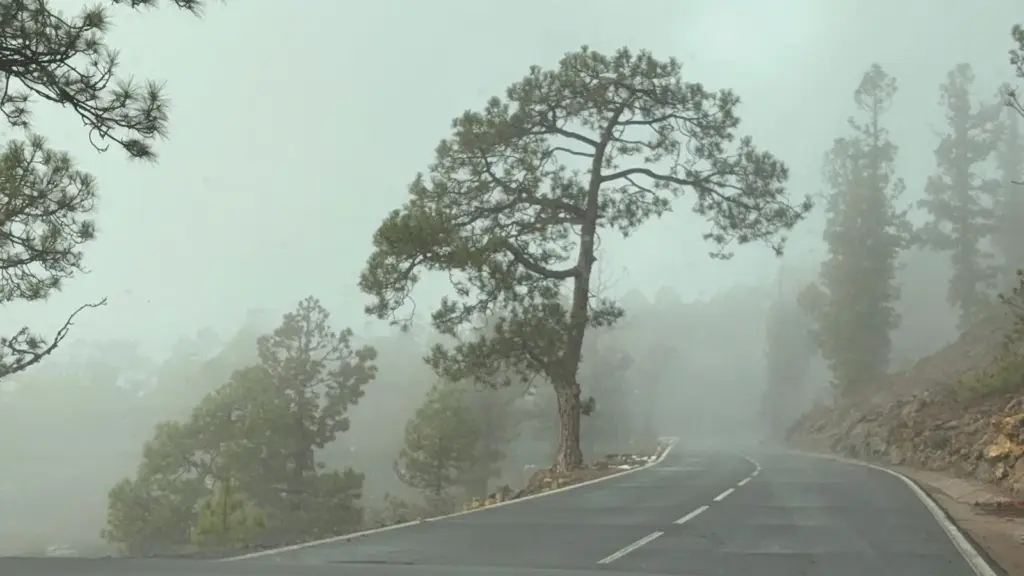 Canarias espera fuertes lluvias para iniciar 2026 con el paso de la borrasca Francis 