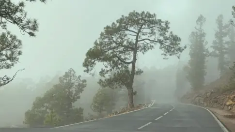 Borrasca Francis | Canarias empieza 2026 con lluvias