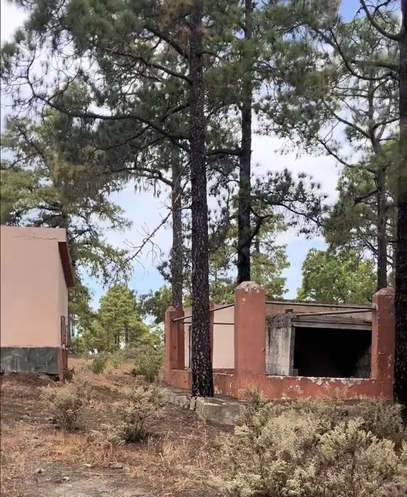 Actual estado del albergue de Tamadaba, ubicado en el pinar del mismo nombre, y que llevaba abandonado una década