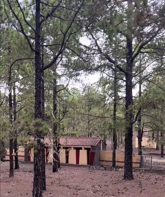 Actual estado del albergue de Tamadaba, ubicado en el pinar del mismo nombre, y que llevaba abandonado una década