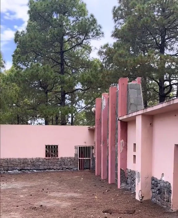 Actual estado del albergue de Tamadaba, ubicado en el pinar del mismo nombre, y que llevaba abandonado una década