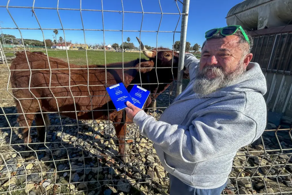 José Antonio Oria, vecino de Lepe, tiene a dos vacas como animales de compañía, en el único caso que se conoce en Andalucía y de los pocos en el mundo. Hace dos años las salvó recién nacidas de ser sacrificadas, y ahora, en su finca de la localidad onubense, las dos son parte de la familia de su dueño, con pasaportes y microchips de identidad incluidos.