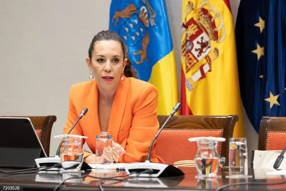 Canarias destina cuatro millones de euros a programas de inserción laboral para 2026