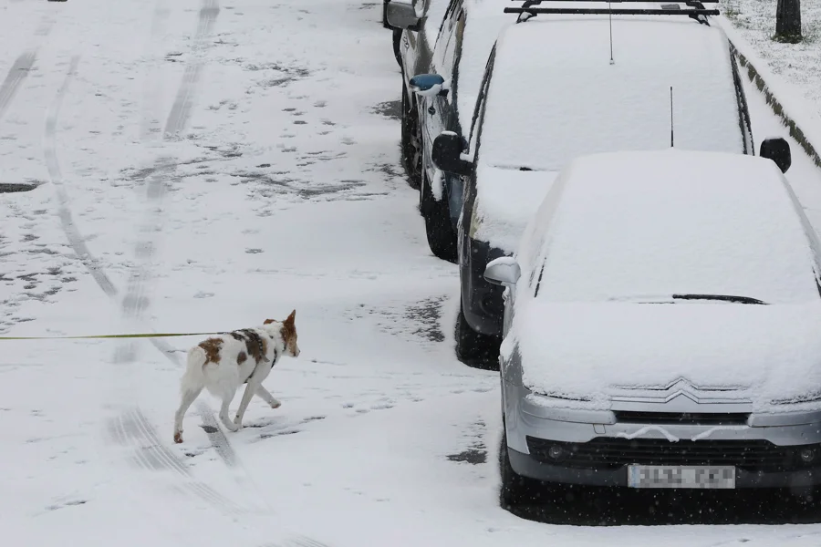 Pamplona amaneció este día de Reyes con sus calles cubiertas por la nieve a consecuencia de la borrasca Francis que afecta a gran parte del país. EFE/ Villar López
