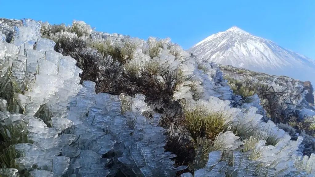 Cencellada en el Teide. Imagen Cabildo de Tenerife