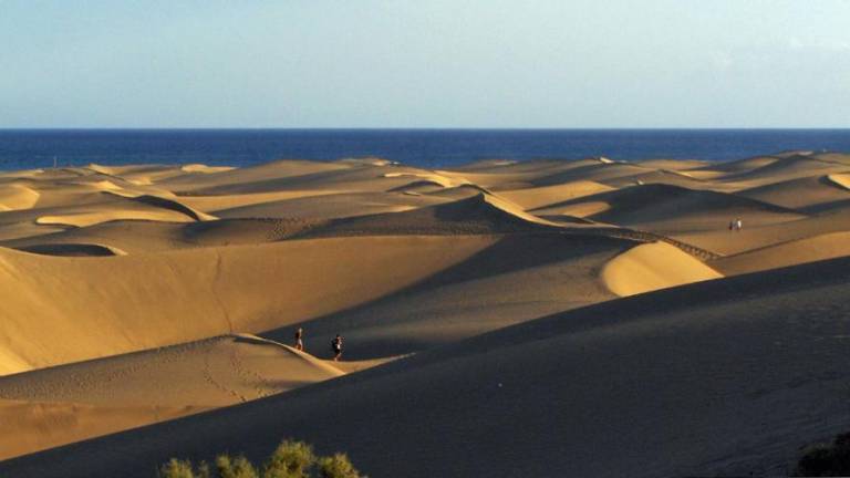 Alumnos del IES Amurga, en Gran Canaria, recogen residuos en las Dunas de Maspalomas para proteger su biodiversidad