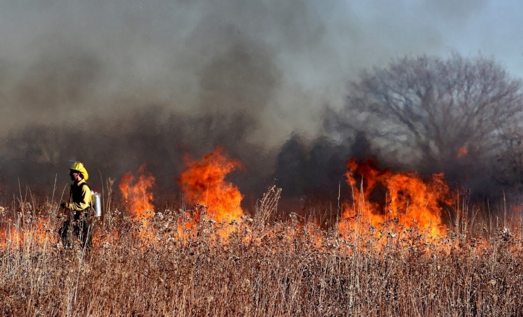 Alerta por riesgo de incendios forestales y altas temperaturas en cinco Islas