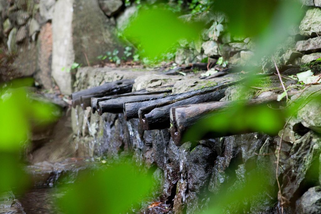 Los Chorros de Epina, un paseo por las leyendas de la isla de La Gomera