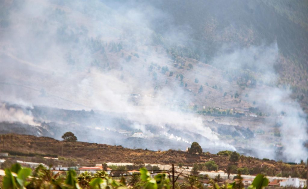 Comienza el reparto del forraje donado para los ganaderos afectados por el volcán