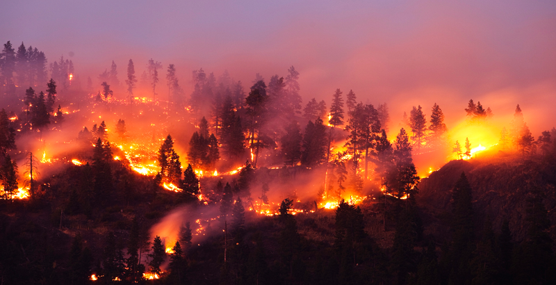 incendio forestal