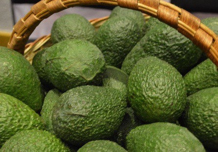 Investigan a seis personas por sustraer 1.200 kilos de aguacates