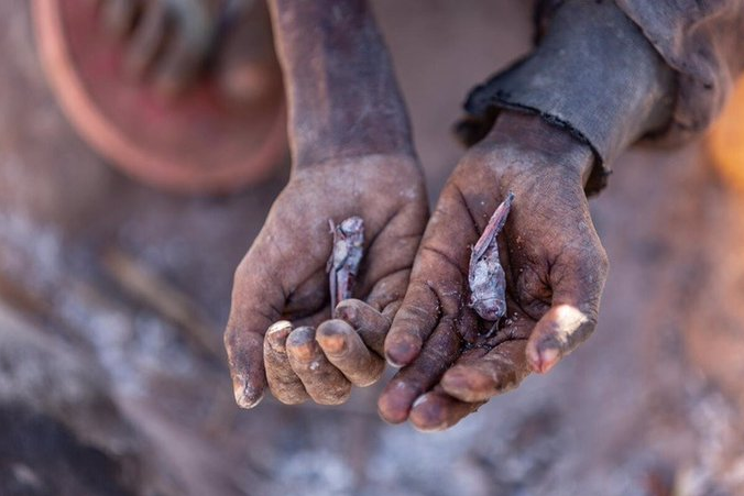 La ONU cifra en más de 45 millones de personas al borde de la hambruna