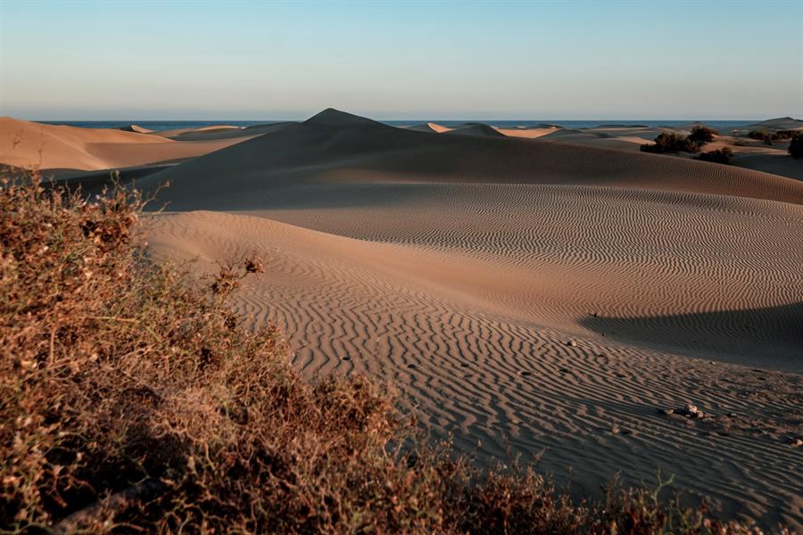 Destaca que el mercado británico hasta la irrupción de la pandemia ha sido uno de los principales emisores de turistas al destino Maspalomas Costa Canaria