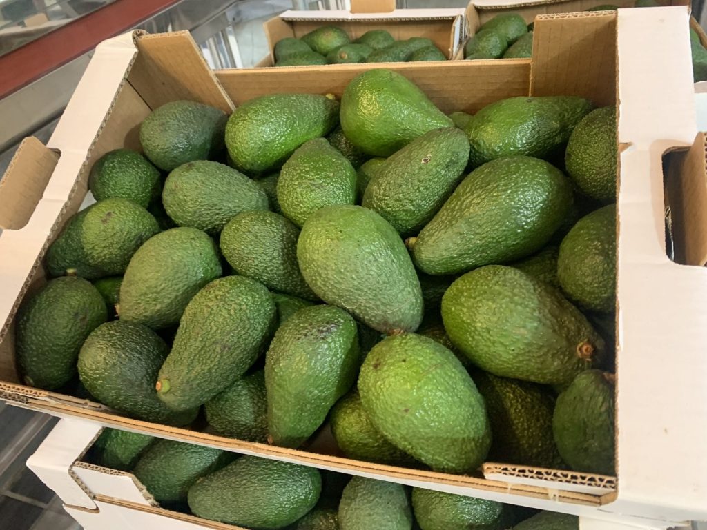 Tres personas investigadas por el robo de aguacates en Tenerife / Archivo 