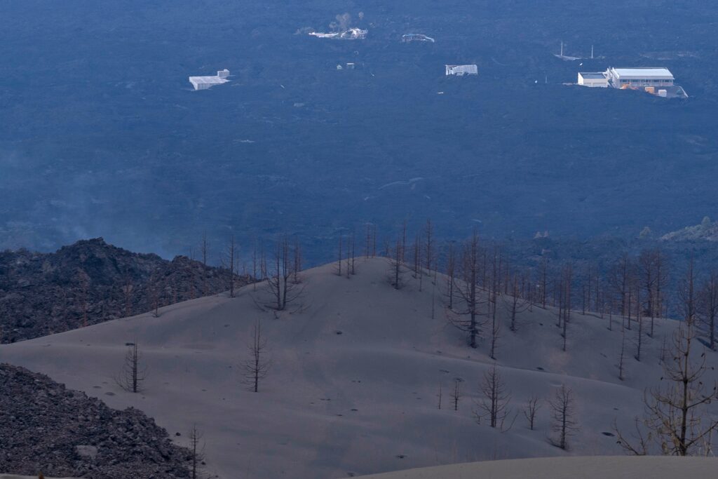 La Palma recibe 3,3 millones para mitigar los daños en la biodiversidad