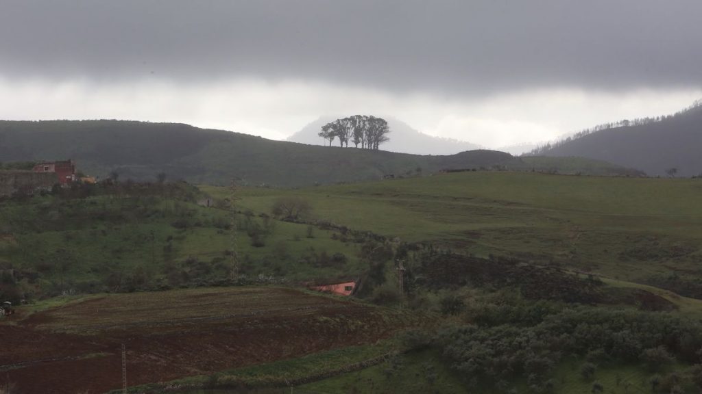 El agua de lluvia de los últimos días, un alivio para los agricultores