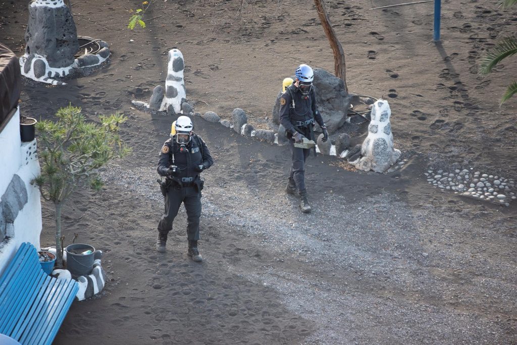 Hallan cernícalos y palomas que murieron a causa de gases de la erupción