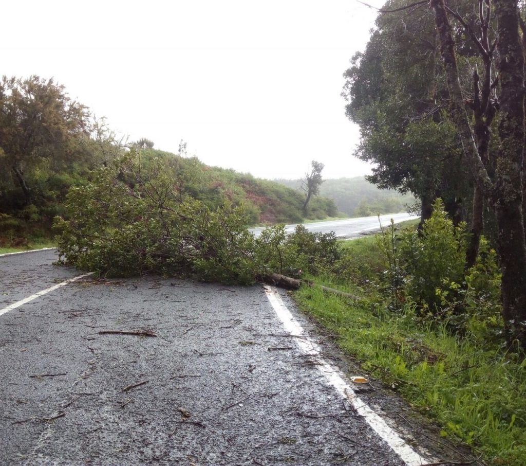 Oleaje, calima y mucho viento este fin de semana en Canarias