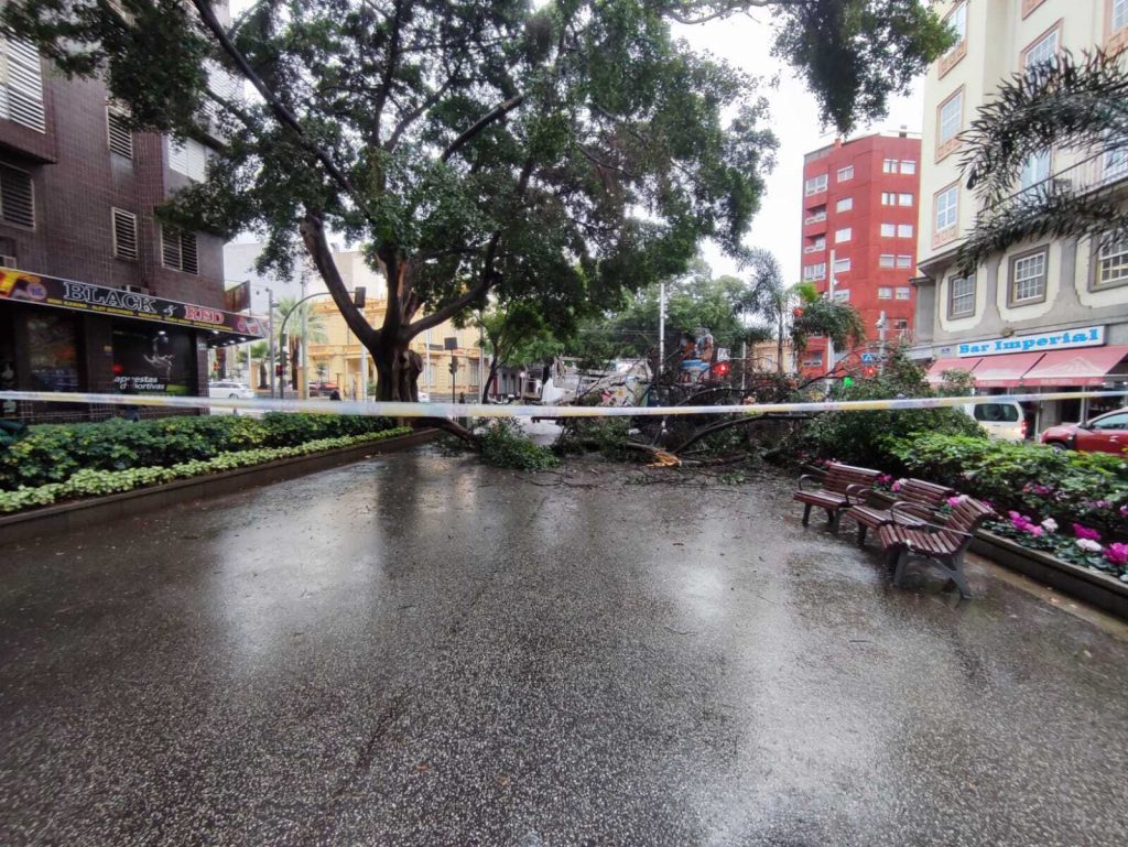 Efectos del viento en Santa Cruz de Tenerife