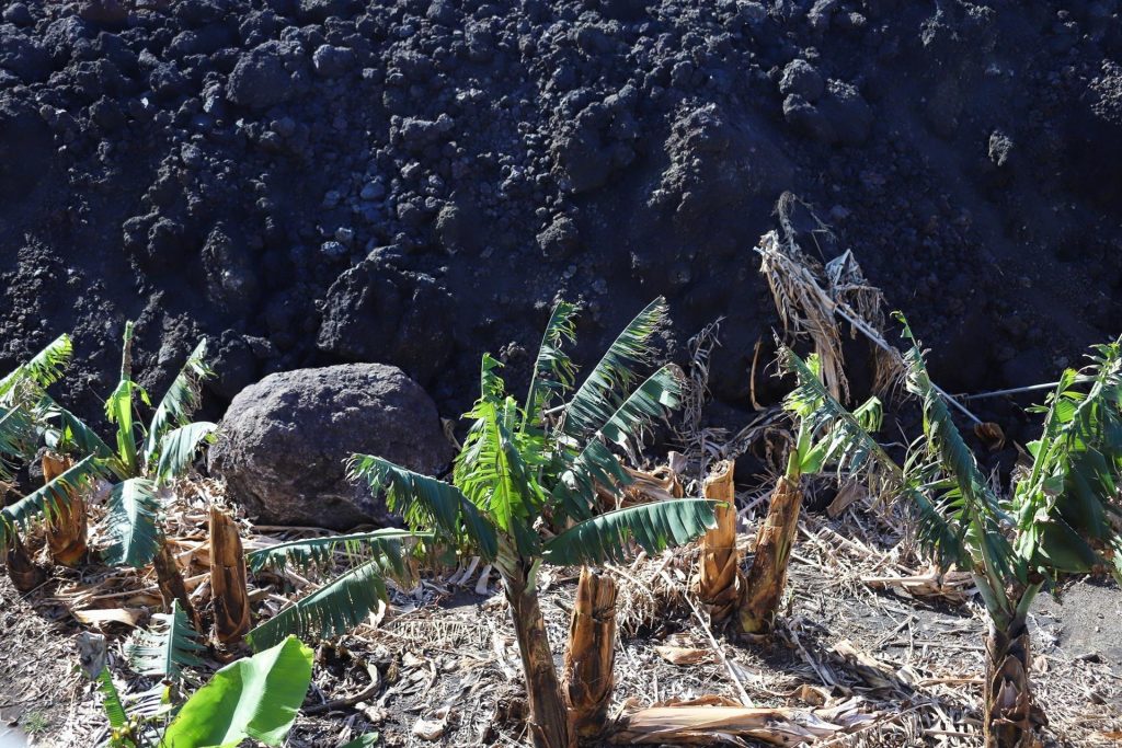 Los Llanos eximirá del cobro de licencias para construir a los afectados por el volcán