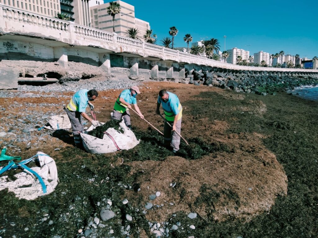 Este episodio está asociado a los fuertes temporales y oleajes en el mar de la última semana que ha coincidido con el comienzo de la primavera