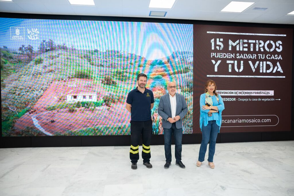 Piden potenciar paisaje mosaico y despejar vegetación para prevenir incendios