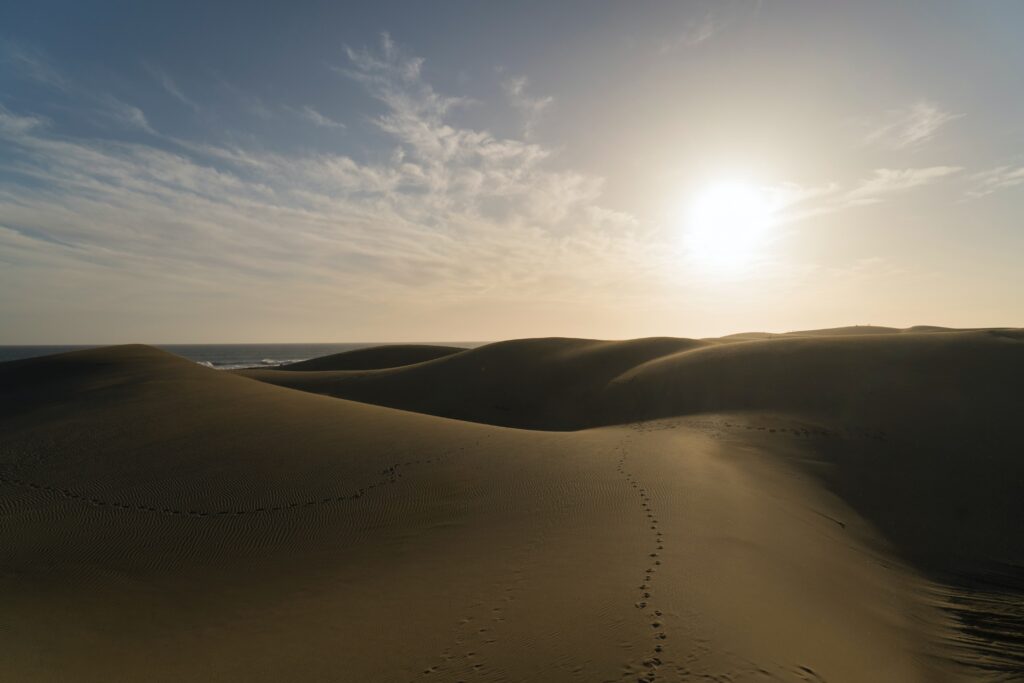 Continúa la ola de calor en el Archipiélago con máximas de hasta 40ºC