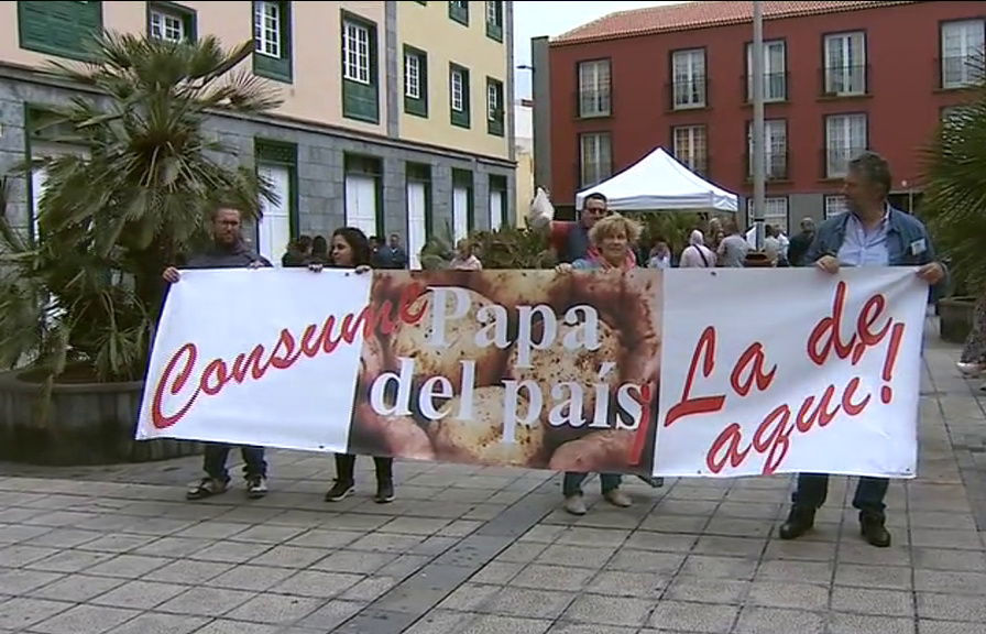 Concentración de productores de papa canaria ante la importación desleal