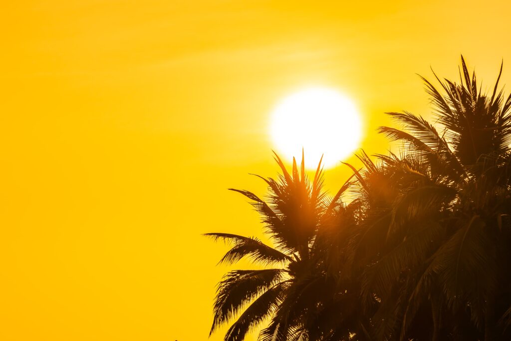 Canarias prevé un futuro climático con tres grados más de temperatura y un 30% menos de lluvia