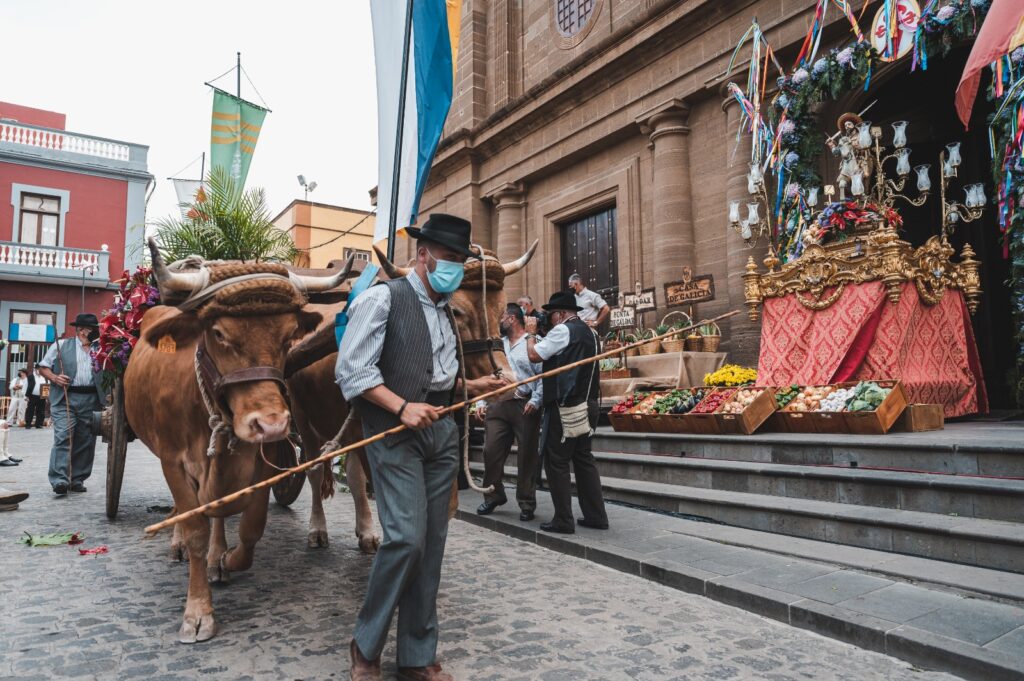 TVC se prepara para la ofrenda a Santiago de los Caballeros de Gáldar