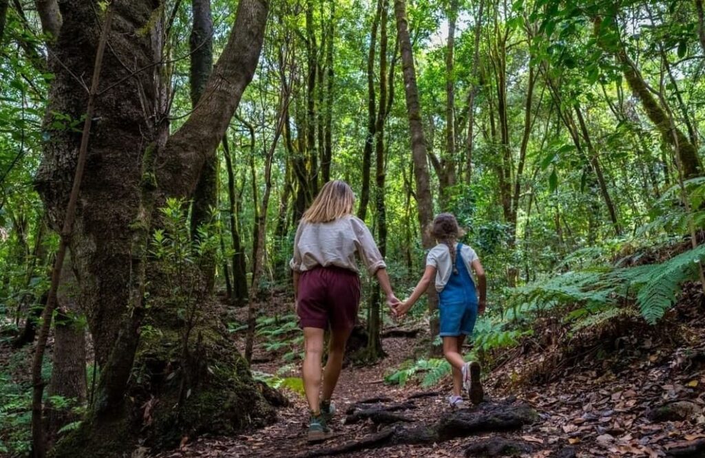 El turismo internacional en Canarias vuelve a niveles anteriores a la pandemia