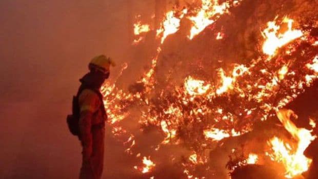 Bomberos forestales y personal de medioambiente en Canarias ya pueden acreditar su cualificación