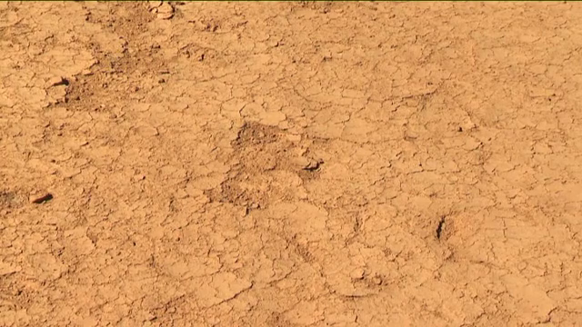 Los humedales de Fuerteventura, en niveles mínimos