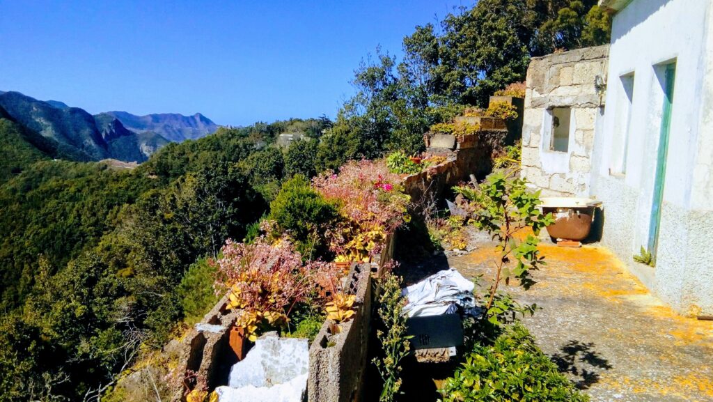 El Cabildo de Tenerife extrae más de 100 toneladas de residuos de plantas exóticas