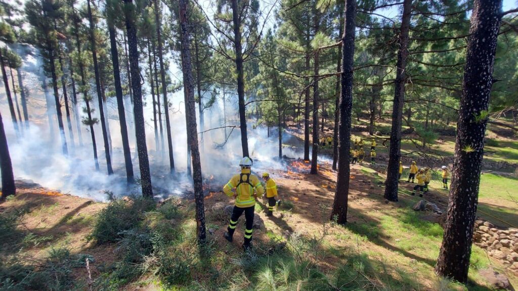 Bomberos de Gran Canaria forman en fuego técnico a efectivos de Reino Unido, Polonia o Alemania