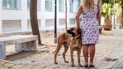 Canarias es la quinta comunidad con más denuncias por violencia de género